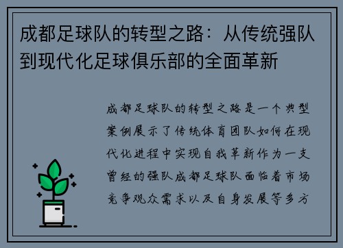 成都足球队的转型之路：从传统强队到现代化足球俱乐部的全面革新
