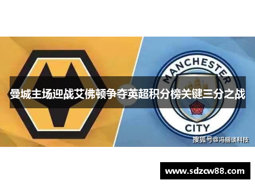 曼城主场迎战艾佛顿争夺英超积分榜关键三分之战