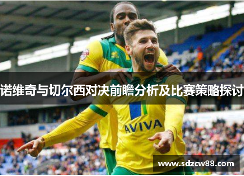 诺维奇与切尔西对决前瞻分析及比赛策略探讨